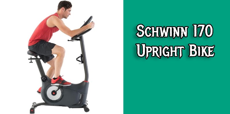 Schwinn 170 Upright Bike