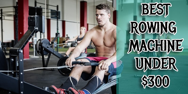 best rowing machine under $300