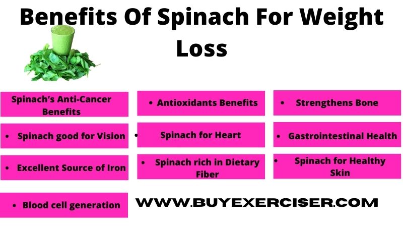 Benefits of spinach for weight loss