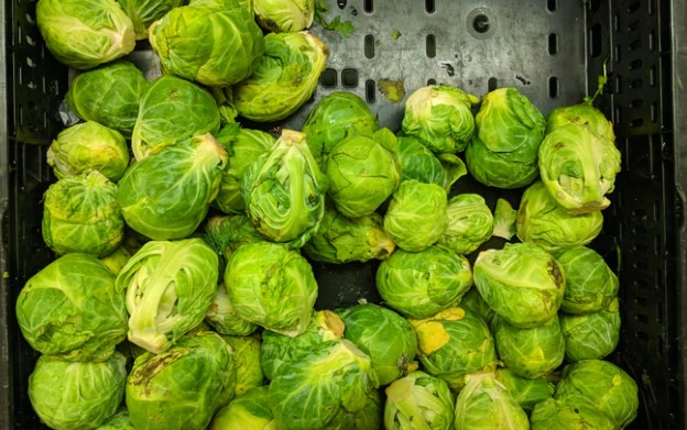 brussel sprouts