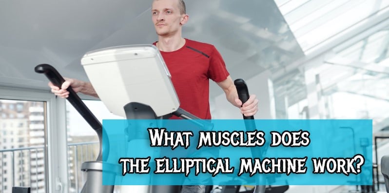 What muscles does the elliptical machine work?