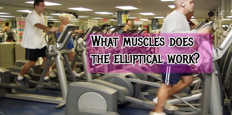 What muscles does the elliptical work?