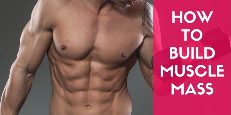 How to Build Muscle Mass