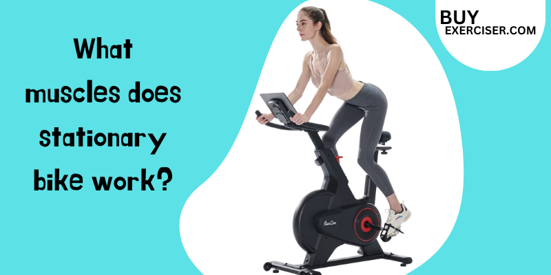 What muscles does stationary bike work